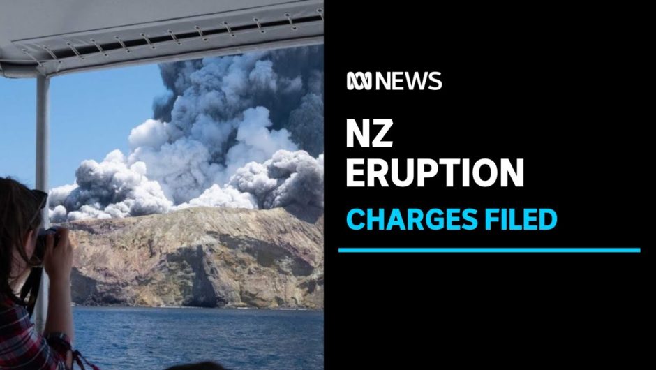 WorkSafe New Zealand charges 13 parties over White Island eruption tragedy | ABC News
