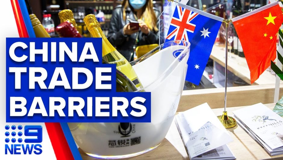 China extends war on Australian imports to wine | 9 News Australia