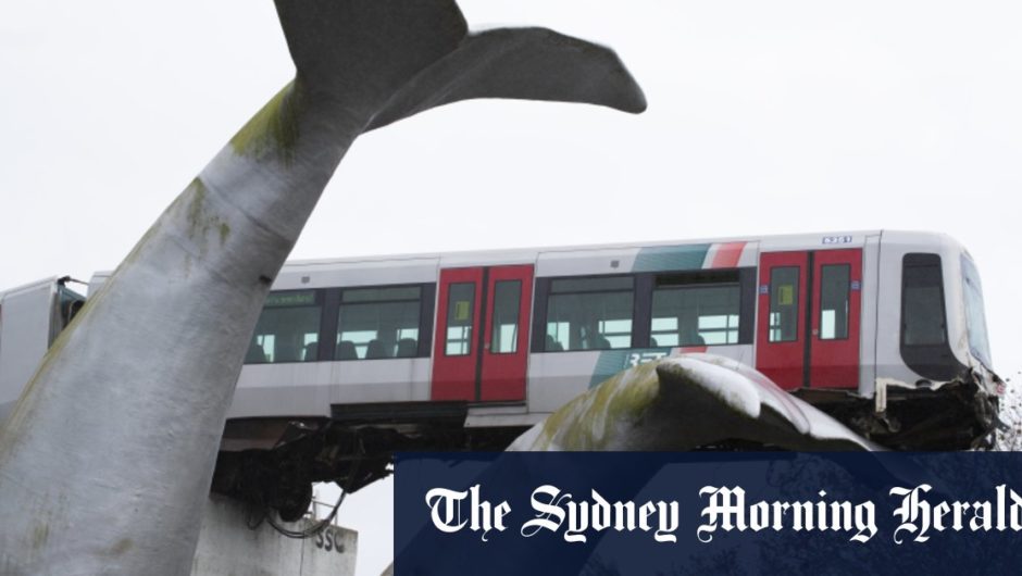 Dutch whale tail sculpture catches crashed metro train