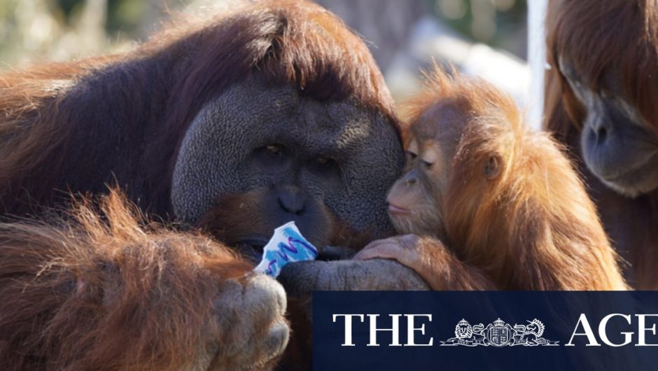 Gallery: The best photos from around the world