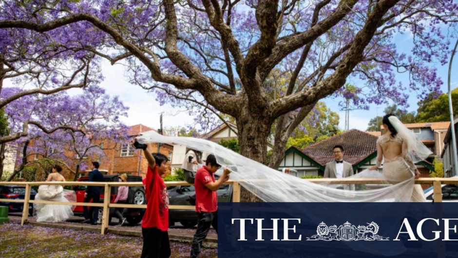 Photos of the week, November 12, 2020