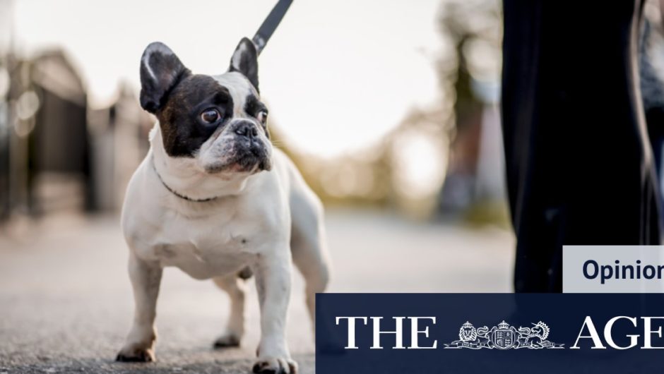 As a Melburnian, these are the small things I’ve become grateful for in 2020