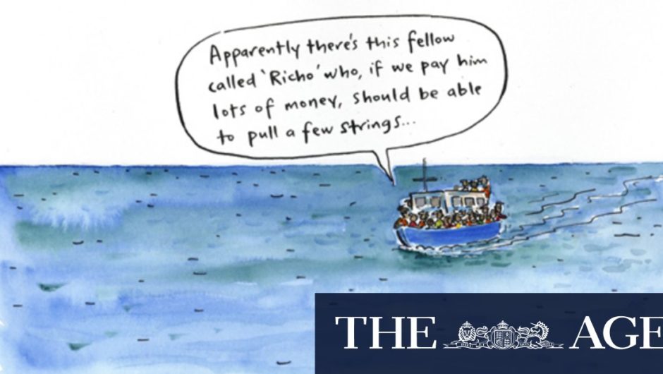 The latest illustrations from artist Cathy Wilcox