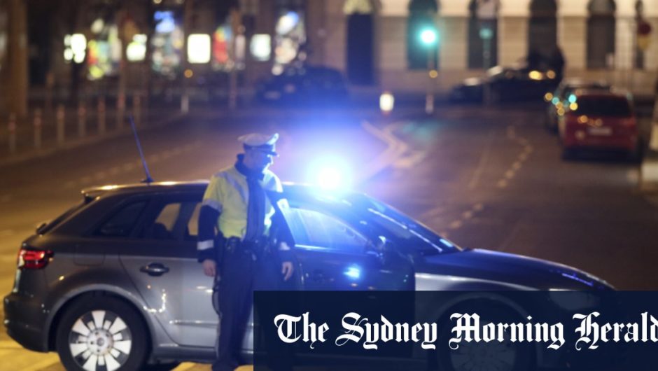 Shots fired near Vienna synagogue, police deployed: report