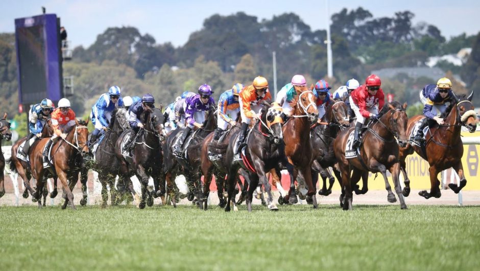 Melbourne cup to run before spectator-free stands