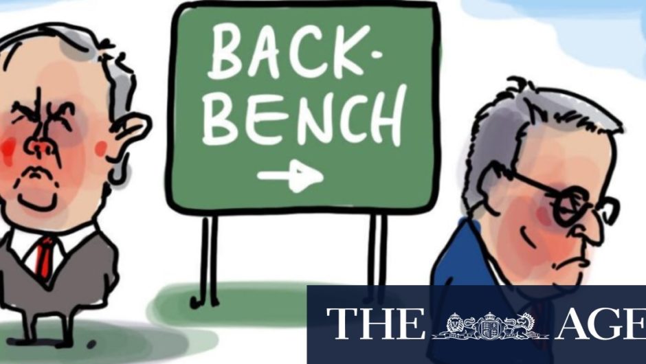 Best of cartoons, November 11, 2020