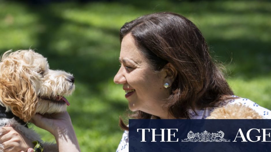 After a wine, Queensland Premier says it’s straight back to work