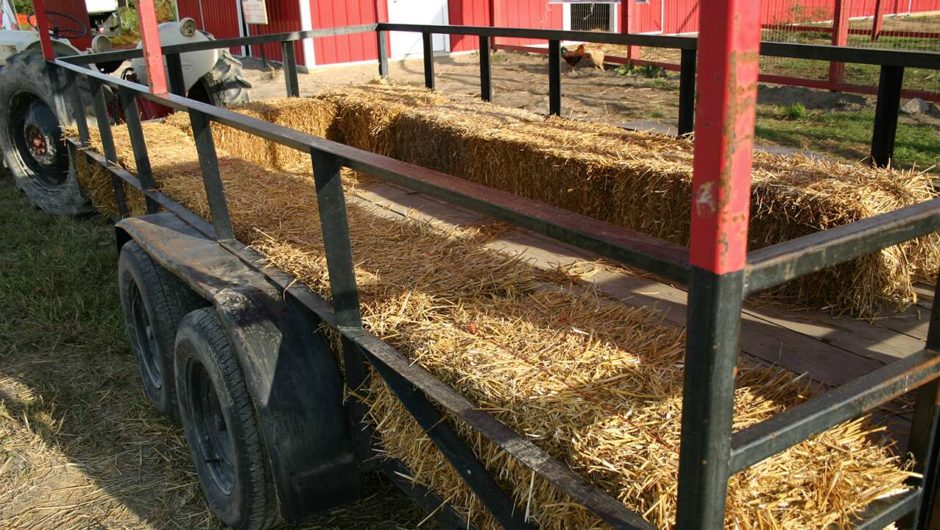 Hayride in Florida struck by vehicle, several airlifted to nearby hospitals