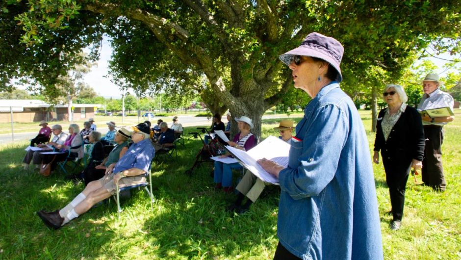 Canberra’s Alchemy Chorus choir for people with dementia and carers back on song after COVID | The Canberra Times