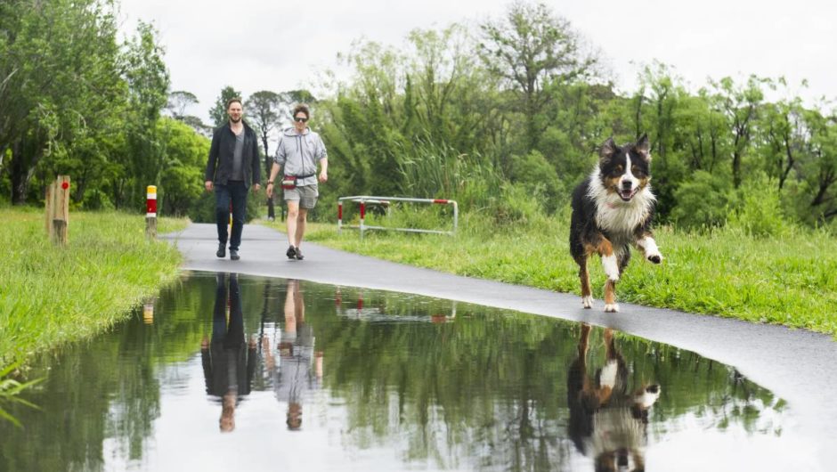 Canberra weather: Rain hits ACT on Thursday expected to clear for the weekend | The Canberra Times