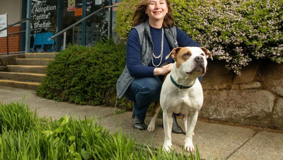 The puppies that yearn for love | The Canberra Times