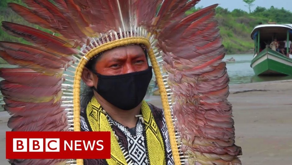 Amazon rainforest: 'Paying the price for disrespecting nature' – BBC News