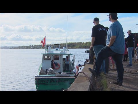 Commercial lobster fishing begins in parts of Nova Scotia