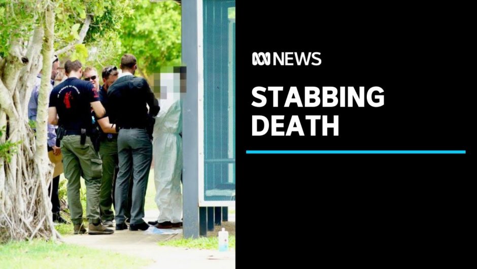Northern Territory Police investigate stabbing death of a woman in a Darwin suburb | ABC News