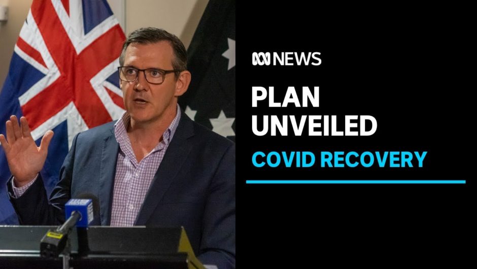 The Northern Territory Government releases blueprint for its coronavirus recovery | ABC News