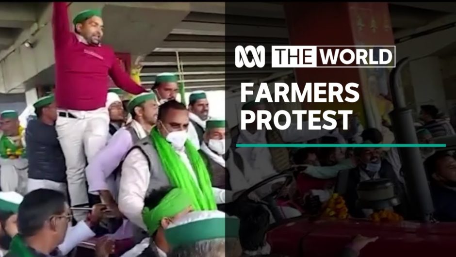 Indian farmers say new laws will decimate their livelihoods | The World