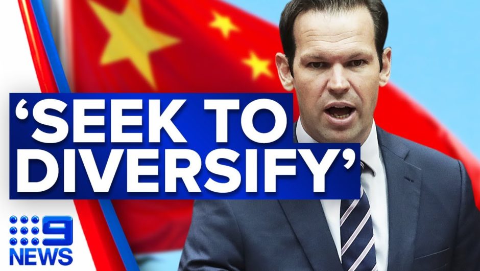 Australia's priority should be to 'diversify' trade: Senator Canavan | 9 News Australia