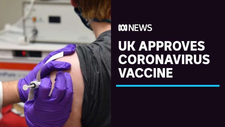 UK approves Pfizer-BioNTech COVID-19 vaccine, which will roll out from next week | ABC News