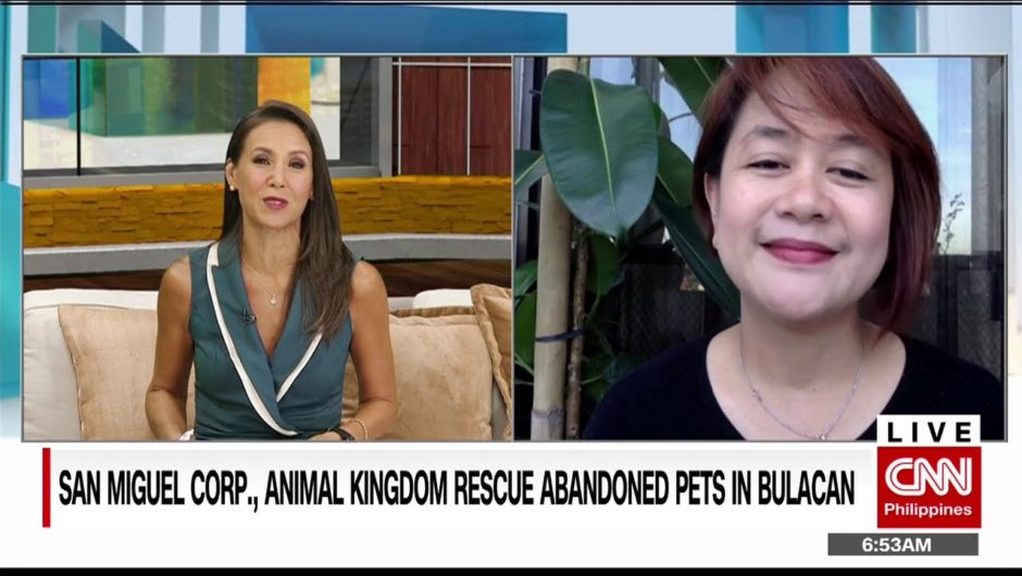 San Miguel Corporation, Animal Kingdom rescue abandoned pets in Bulacan