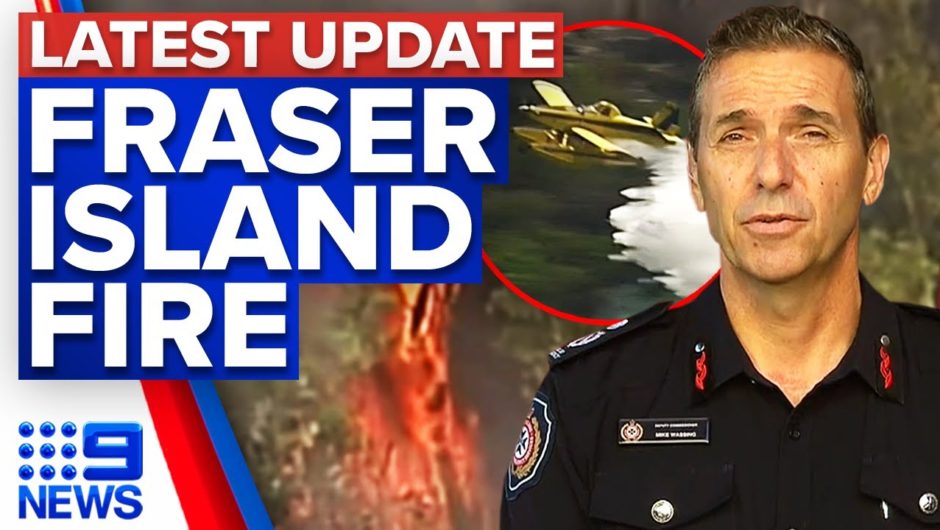 Half of Fraser Island burned in six week bushfire | 9 News Australia