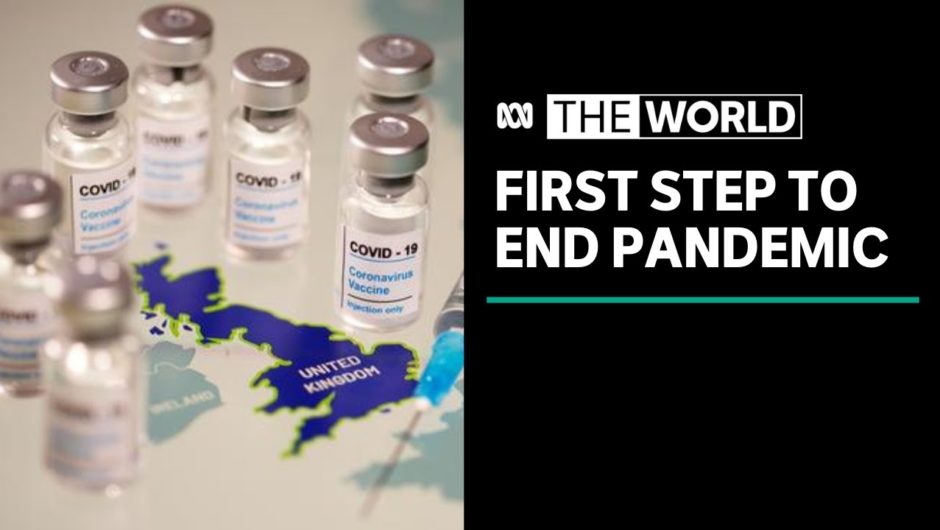 UK'S approval of Pfizer vaccine 'fantastic but still a long way to go' to end pandemic | The World