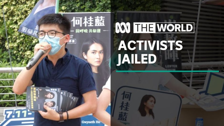 Hong Kong activists jailed over anti-government protest | The World