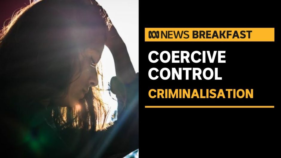 Push to criminalise coercive control to better protect victims of domestic violence | ABC New