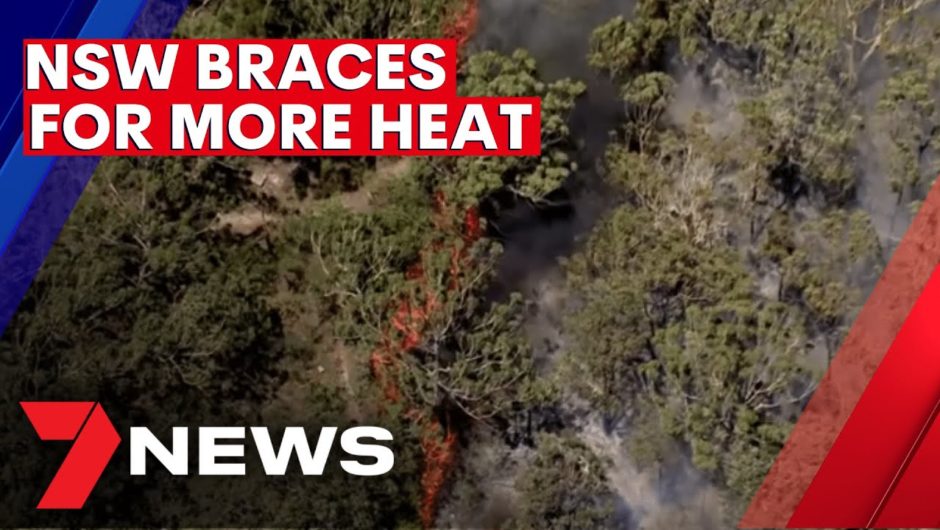 Bushfires across Sydney under arson investigation | 7NEWS