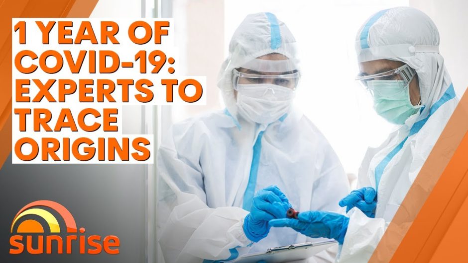 COVID-19: One year on from first case, experts to trace origins of virus | 7NEWS