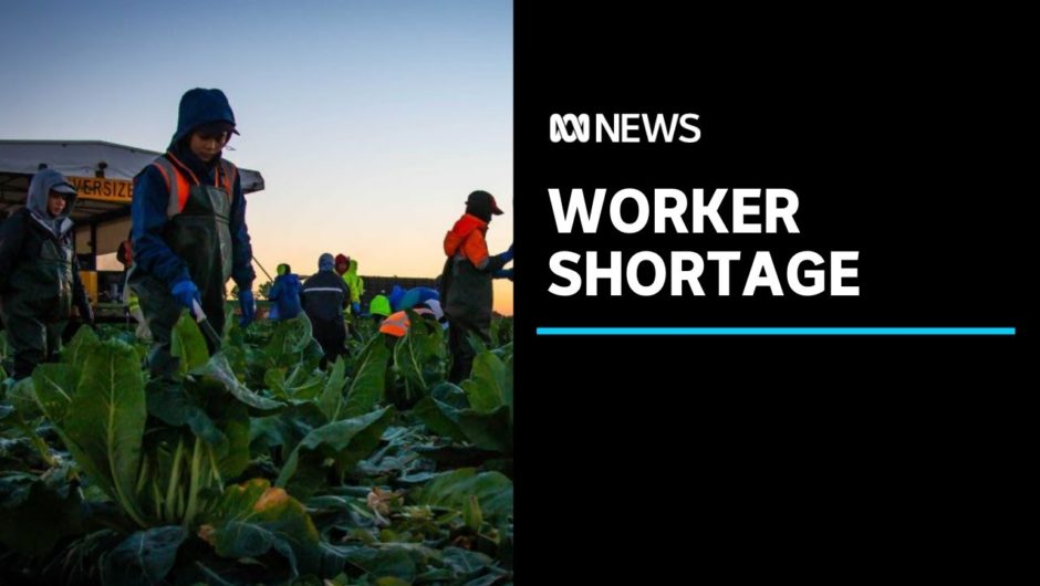 Jobless Aussies offered up to $6,000 to relocate for harvest jobs, but only 148 signed up | ABC News