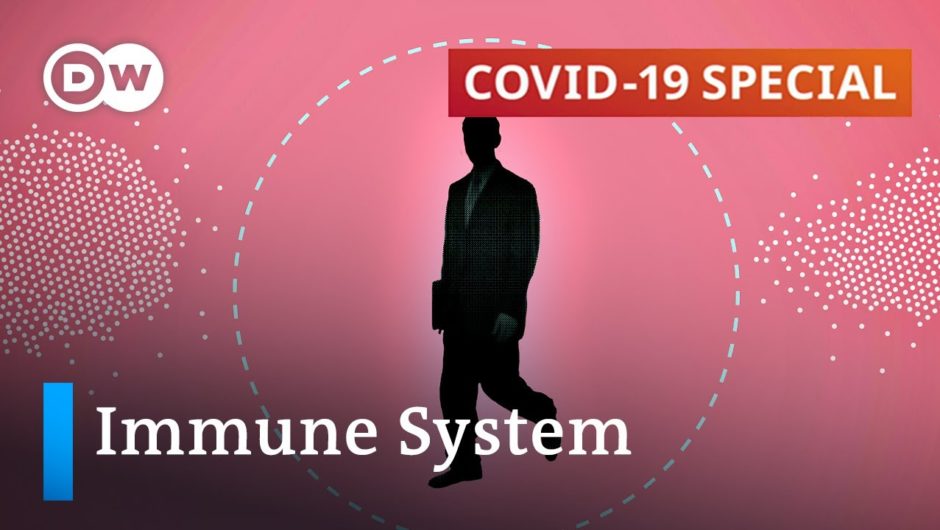 Does immune protection play any part in COVID-19 severity? | COVID-19 Special