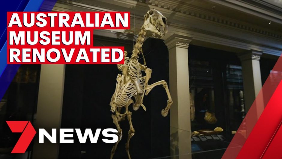 Sydney's Australian Museum has reopened after a renovation | 7NEWS