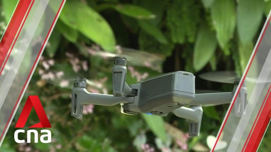 Gardens by the Bay teams up with labour movement to cross-train staff, digitise operations