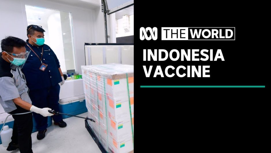 Indonesia 'taking a risk' on coronavirus vaccine from China's Sinovac | The World