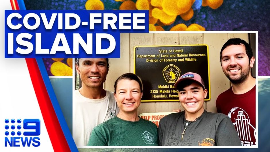 Coronavirus: Researchers on remote island return home unaware of COVID-19 | 9 News Australia