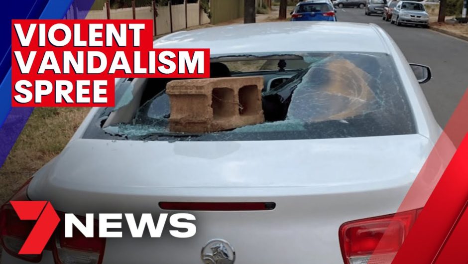 Frontline nurses' cars smashed in senseless vandalism attack in Adelaide's north | 7NEWS