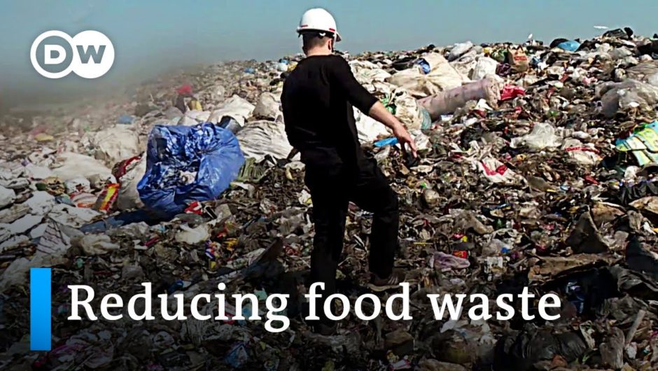 Fighting food waste in Thailand | Global Ideas