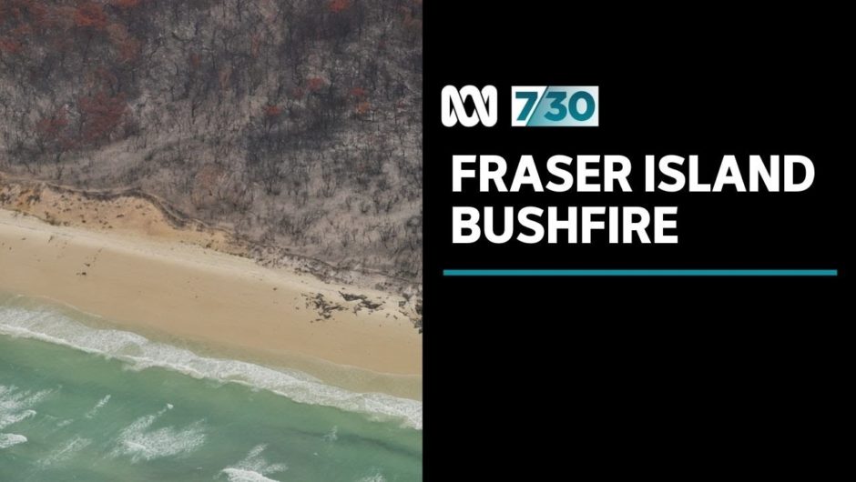 Raging bushfires sparked by an illegal campfire have swept Fraser Island | 7.30