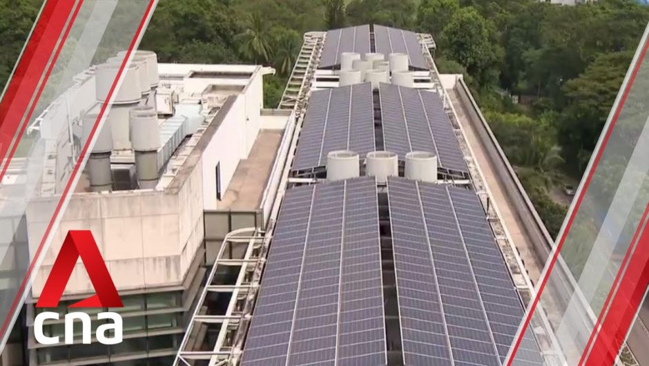 Up to 20% growth in demand for solar energy in Singapore
