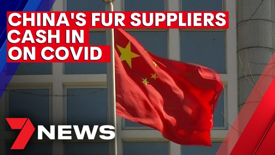 China's fur suppliers are cashing in on the coronavirus | 7NEWS