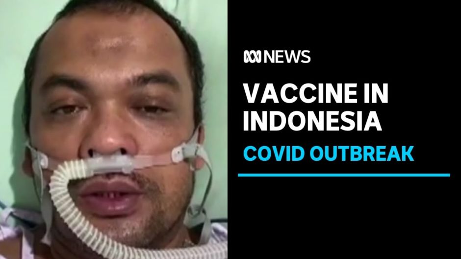 Indonesia receives a million doses of a COVID vaccine but distribution won't be immediate | ABC News