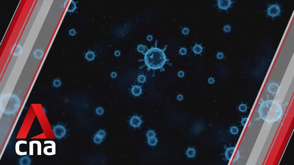 Singapore scientists discover role of NLRP1 protein in detecting common cold virus