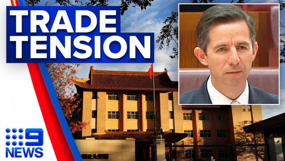 Government accuses China of breaking trade rules | 9 News Australia