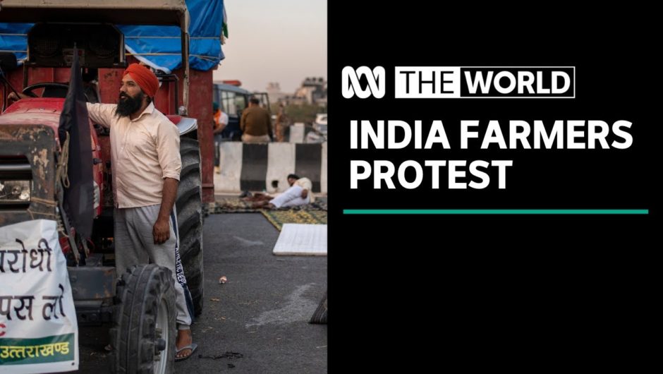 Why India's farming protests are now 'well beyond debate' | The World