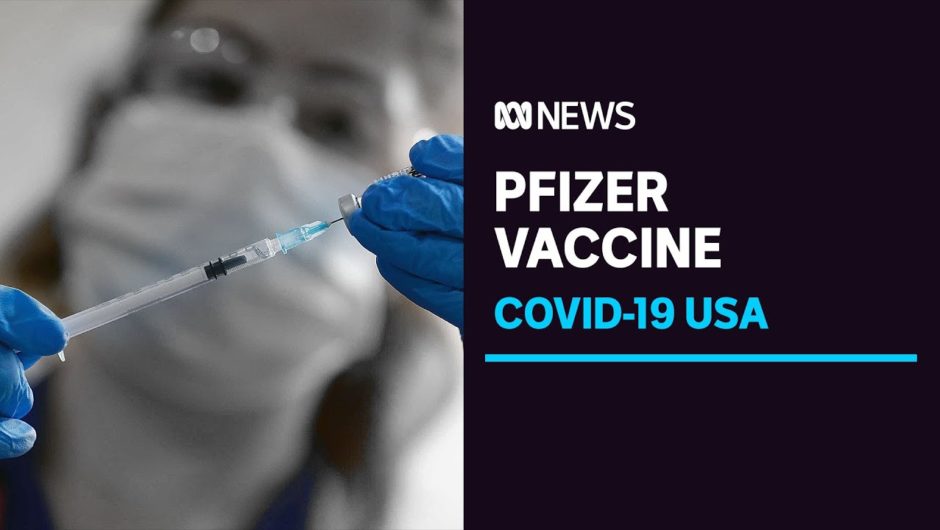 US health expert panel recommends emergency use approval for Pfizer coronavirus vaccine | ABC News