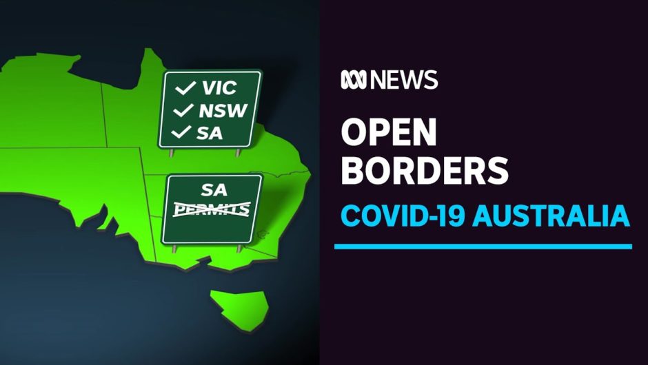 More travel freedom comes online after months of coronavirus border restrictions | ABC News