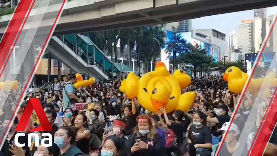 Thai protests: Inflatable rubber ducks at second consecutive day of rallies
