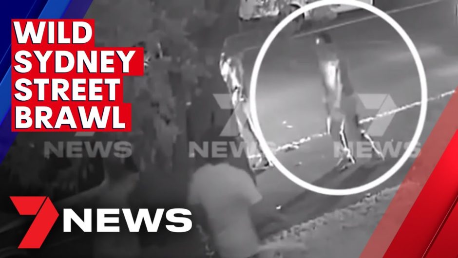Wild street fight in Sydney’s south | 7NEWS