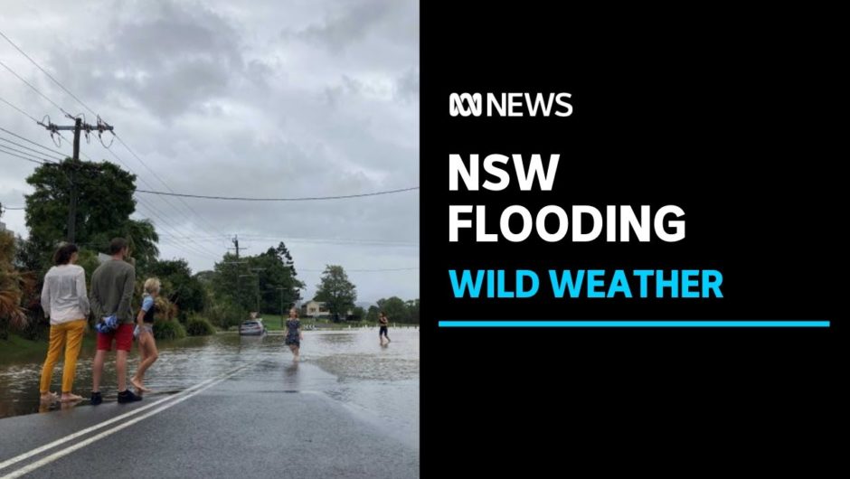 Northern NSW hit by wild weather as winds, flooding lead to hundreds of calls for help | ABC News