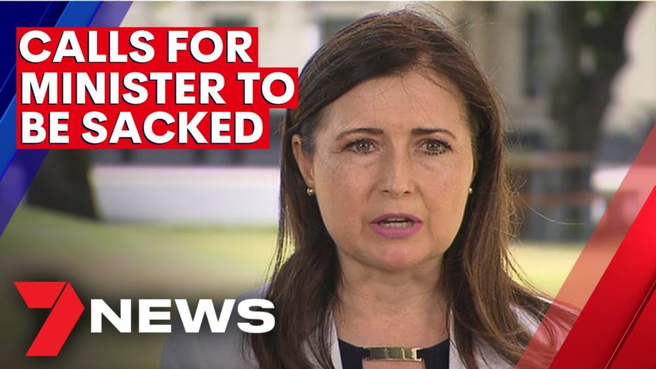 Calls for South Australian child protection minister to be sacked | 7NEWS